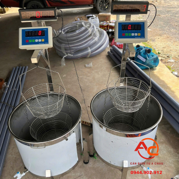 Cân Điểm Bột Mì Bột Sắn ID268