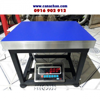 Cân ghế ngồi 300Kg - Cân Điện Tử Á Châu